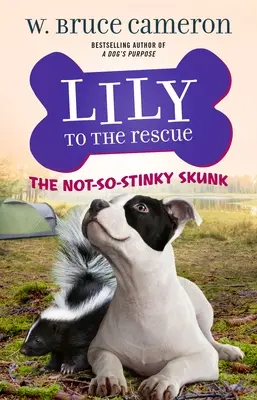 Lily to the Rescue: Lily: The Not-So-Stinky Skunk - Lily to the Rescue: The Not-So-Stinky Skunk