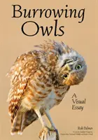 Svět sov pálených: A Photographic Essay Exploring Their Behaviors & Beauty (Fotografický esej zkoumající jejich chování a krásu) - The World of Burrowing Owls: A Photographic Essay Exploring Their Behaviors & Beauty