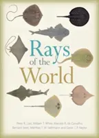 Paprsky světa - Rays of the World