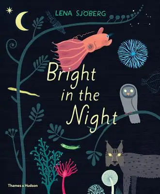 Jasno v noci - Bright in the Night