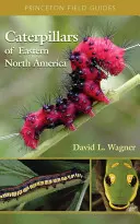 Housenky východní části Severní Ameriky: Průvodce určováním a přírodovědou - Caterpillars of Eastern North America: A Guide to Identification and Natural History