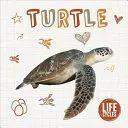 Želva - Turtle