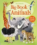 Velká kniha zvířat - Big Book of Animals
