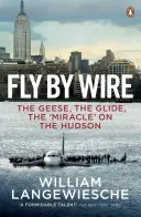 Fly By Wire - The Geese, The Glide, The 'Miracle' on the Hudson (Let po drátě - husy, klouzání, zázrak na Hudsonu) - Fly By Wire - The Geese, The Glide, The 'Miracle' on the Hudson