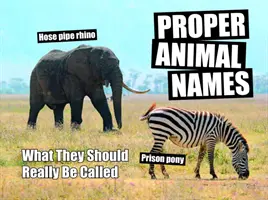 Správná jména zvířat - jak by se měla skutečně jmenovat - Proper Animal Names - What They Should Really Be Called