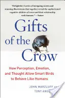 Dary vrány: Jak vnímání, emoce a myšlení umožňují chytrým ptákům chovat se jako lidé - Gifts of the Crow: How Perception, Emotion, and Thought Allow Smart Birds to Behave Like Humans