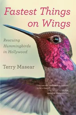 Nejrychlejší věci na křídlech: Záchrana kolibříků v Hollywoodu - Fastest Things on Wings: Rescuing Hummingbirds in Hollywood
