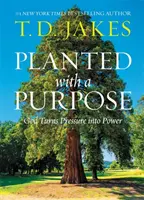 Zasazeno s cílem: Bůh proměňuje tlak v sílu - Planted with a Purpose: God Turns Pressure Into Power