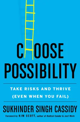 Vyberte si možnost: Podstupujte rizika a prosperujte (i když se vám nedaří) - Choose Possibility: Take Risks and Thrive (Even When You Fail)