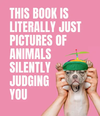 Tato kniha jsou doslova jen obrázky zvířat, která vás tiše soudí - This Book Is Literally Just Pictures of Animals Silently Judging You