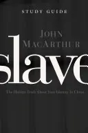 Otrok, průvodce studiem: Skrytá pravda o tvé identitě v Kristu, brožovaná kniha - Slave, the Study Guide: The Hidden Truth about Your Identity in Christ