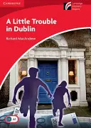 A Little Trouble in Dublin