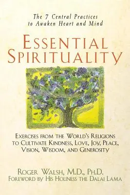 Esenciální spiritualita: Klíčová spiritualita: 7 ústředních praktik k probuzení srdce a mysli. - Essential Spirituality: The 7 Central Practices to Awaken Heart and Mind