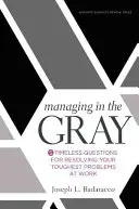 Řízení v šedi: Pět nadčasových otázek pro řešení nejtěžších problémů v práci - Managing in the Gray: Five Timeless Questions for Resolving Your Toughest Problems at Work
