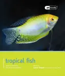 Tropické ryby: Průvodce výběrem, péčí a kompatibilitou - Tropical Fish: Guide to Selection, Care and Compatibility