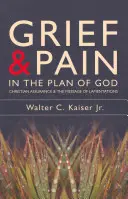 Smutek a bolest v Božím plánu: Křesťanská jistota a poselství Pláče - Grief and Pain in the Plan of God: Christian Assurance and the Message of Lamentations
