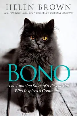 Bono: Úžasný příběh záchranářské kočky, která inspirovala celou komunitu - Bono: The Amazing Story of a Rescue Cat Who Inspired a Community