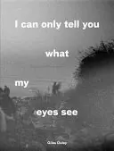 Mohu vám říct jen to, co vidí mé oči: Fotografie z uprchlické krize - I Can Only Tell You What My Eyes See: Photographs from the Refugee Crisis