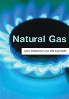 Zemní plyn - Natural Gas
