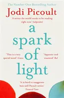 Jiskra světla - NEJPRODÁVANĚJŠÍ NEDĚLNÍ ČASOPIS - Spark of Light - THE NUMBER ONE SUNDAY TIMES BESTSELLER