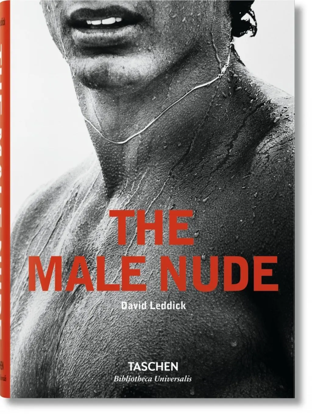 Mužský akt - The Male Nude