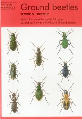 Zemní brouci - Ground beetles
