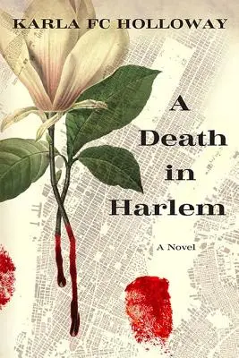 Smrt v Harlemu - A Death in Harlem