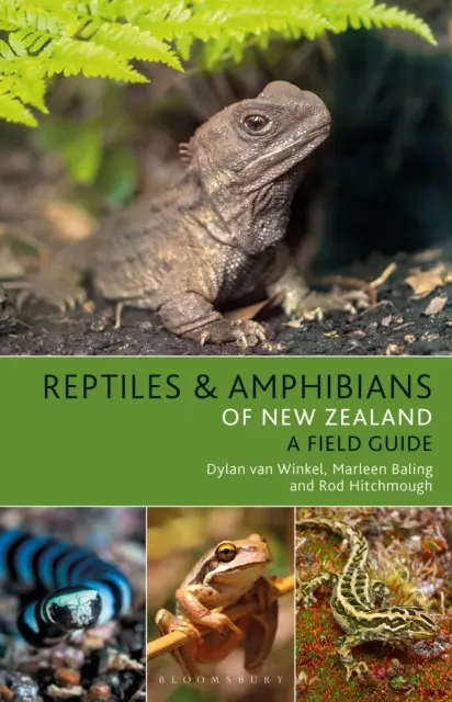 Plazi a obojživelníci Nového Zélandu - Reptiles and Amphibians of New Zealand