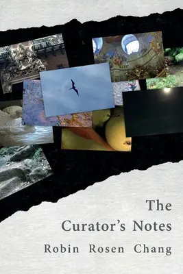 Kurátorovy poznámky - The Curator's Notes