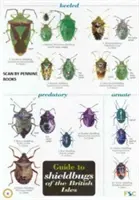 Průvodce štítonoši britských ostrovů - Guide to Shieldbugs of the British Isles