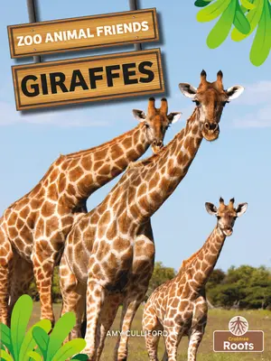 Žirafy - Giraffes