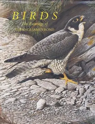 Ptáci - Birds