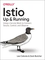 Istio: Nahoru a do provozu: Používání sítě služeb k připojení, zabezpečení, řízení a pozorování - Istio: Up and Running: Using a Service Mesh to Connect, Secure, Control, and Observe