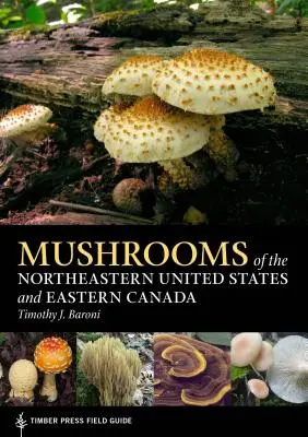 Houby severovýchodu Spojených států a východní Kanady - Mushrooms of the Northeastern United States and Eastern Canada