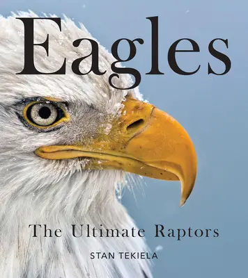 Orli bělohlaví: Dravci na vrcholu silnice - Bald Eagles: The Ultimate Raptors