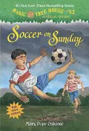 Fotbal v neděli - Soccer on Sunday