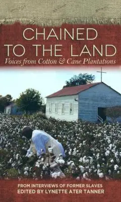Připoután k zemi: Hlasy z bavlníkových a třtinových plantáží. - Chained to the Land: Voices from Cotton & Cane Plantations