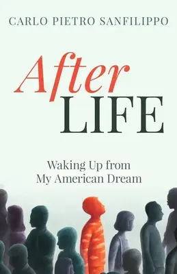 AfterLIFE: Probuzení z mého amerického snu - AfterLIFE: Waking Up from My American Dream