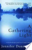 Shromažďování světla - Gathering Light