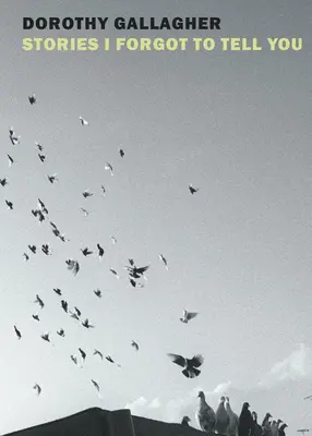 Příběhy, které jsem ti zapomněl říct - Stories I Forgot to Tell You