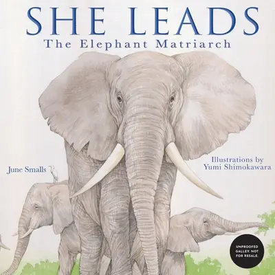 Ona vede: Sloní matriarcha - She Leads: The Elephant Matriarch