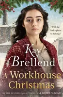 Vánoce v chudobinci - dokonalá, srdceryvná vánoční sága - Workhouse Christmas - a perfect, heartwarming Christmas saga