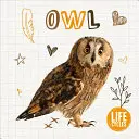Sova - Owl