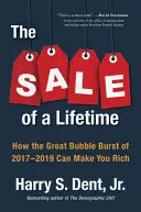 Životní prodej: Jak můžete díky prasknutí velké bubliny v letech 2017-2019 zbohatnout? - The Sale of a Lifetime: How the Great Bubble Burst of 2017-2019 Can Make You Rich