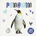 Tučňák - Penguin