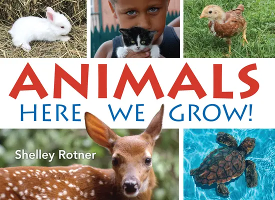 Zvířata! Tady rosteme - Animals!: Here We Grow