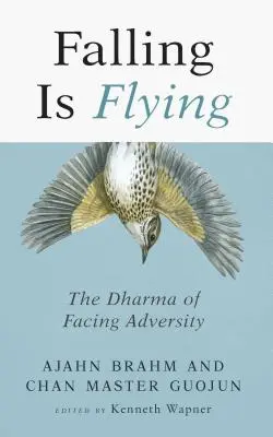 Padat znamená létat, 1: Dharma čelení nepřízni osudu - Falling Is Flying, 1: The Dharma of Facing Adversity