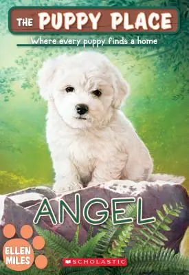 Anděl (The Puppy Place #46), 46 - Angel (the Puppy Place #46), 46