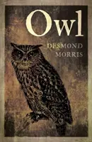 Sova - Owl