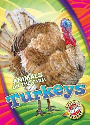 Krocani - Turkeys